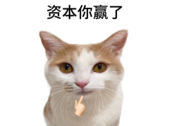 不准涩涩！