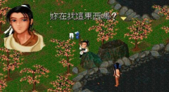 迎娶白富美的梦